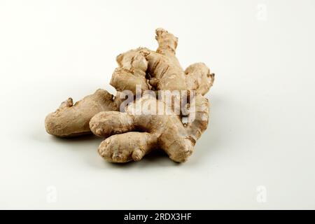Jahe Ginger Root Isolated on Cream Background, Copy Space for Text Stock Photo