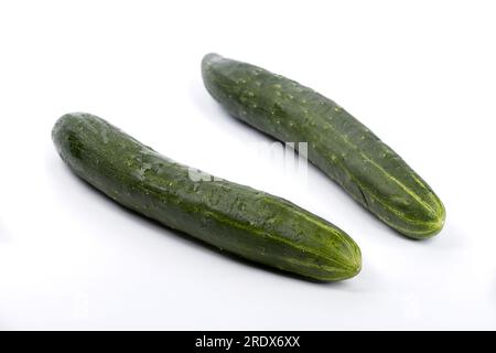 A close up studio photo of two whole cucumbers set on a white background. Stock Photo