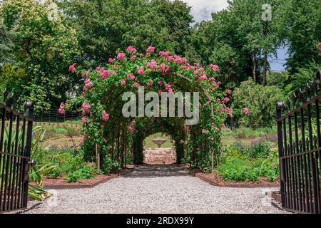 beautiful natural background in summer garden Stock Photo