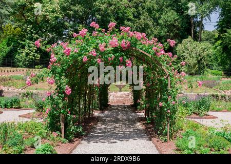 beautiful natural background in summer garden Stock Photo