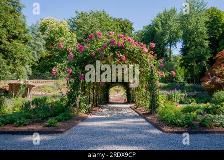 beautiful natural background in summer garden Stock Photo