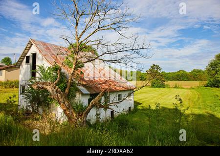 Abandoned house in country with dead tree and overgrowth reclaiming decaying building Stock Photo