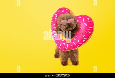 Cute Maltipoo dog with stylish sunglasses and heart-shaped swim ring on yellow background. Space for text Stock Photo