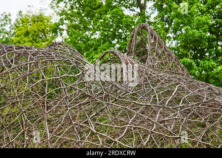 Oxygen artwork created by Akunzo artists Karola Pezzaro and Aris De Bakker with natural vines Stock Photo