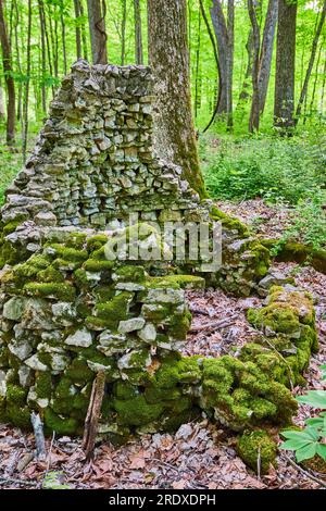 Destroyed building in forest, old, abandoned, decaying stone structure, moss on bricks Stock Photo