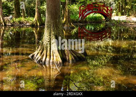 A red Japanese type bridge over part of pond in bamboo park at the Magnolia plantation and Gardens in Charleston, South Carolina, USA. Stock Photo