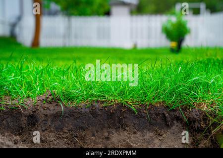 Lawn cut, layers of different soil with grass root system Stock Photo