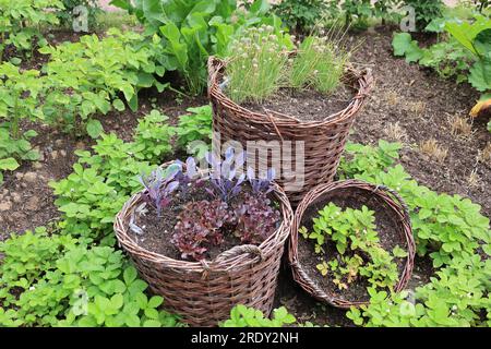 Impressionen von der Landesgartenschau 2023 in der Stadt Höxter in Nordrhein-Westfalen Stock Photo