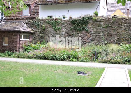 Impressionen von der Landesgartenschau 2023 in der Stadt Höxter in Nordrhein-Westfalen Stock Photo