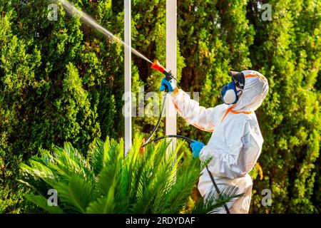 Exterminator spraying insecticide on plants Stock Photo