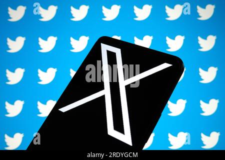 China. 24th July, 2023. In this photo illustration, Elon Musk's new Twitter avatar 'White X on black background' is displayed on a mobile phone with Twitter little blue birds logo in the background. Elon Musk said on Sunday he was looking to change Twitter's logo, tweeting: 'And soon we shall bid adieu to the Twitter brand and, gradually, all the birds.' Credit: SOPA Images Limited/Alamy Live News Stock Photo