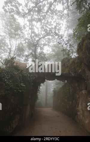 Quinta de Regaleira environment with fog Stock Photo