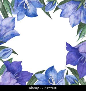 Watercolor illustration with lilac and blue bluebell buds, flowers and leaves. Square frame isolated with Campanula and space for text for packaging Stock Photo