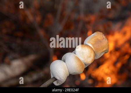 Marshmallow cooked on the fire. Marshmallow bbq. Stock Photo