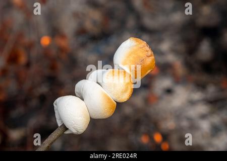 Marshmallow cooked on the fire. Marshmallow bbq. Stock Photo