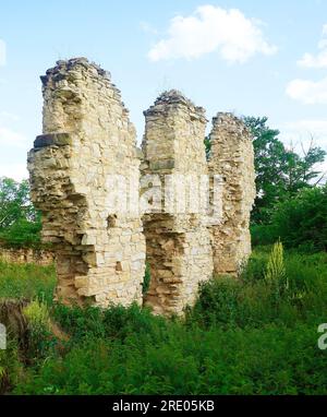 Pravda Castle ruins in Pnetluky village, target for tourists and a place of meetings and festivals in Usti nad Labem Region, Czech Republic, July 6, 2 Stock Photo