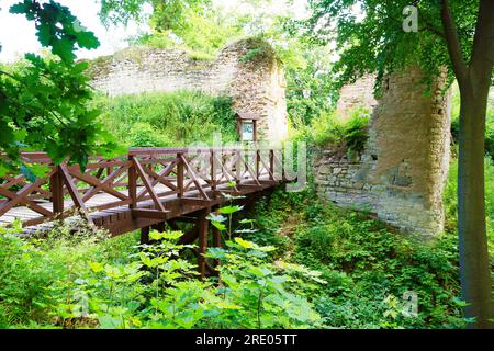 Pravda Castle ruins in Pnetluky village, target for tourists and a place of meetings and festivals in Usti nad Labem Region, Czech Republic, July 6, 2 Stock Photo