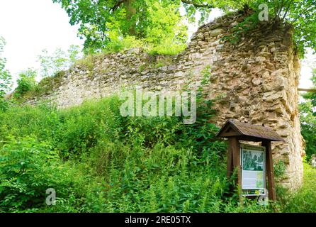 Pravda Castle ruins in Pnetluky village, target for tourists and a place of meetings and festivals in Usti nad Labem Region, Czech Republic, July 6, 2 Stock Photo