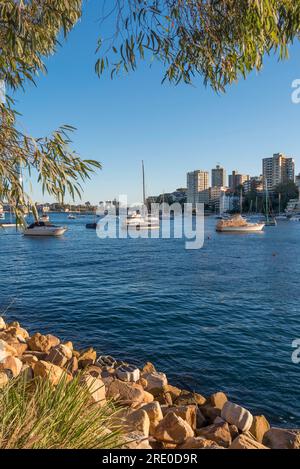 Pleasure boats moored in the late afternoon sun on Lavender Bay in Sydney Harbour, New South Wales, Australia Stock Photo