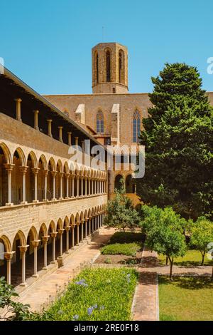 a view of the cloister of the Monastery of Pedralbes, in Barcelona, Catalonia, Spain, on a summer day Stock Photo