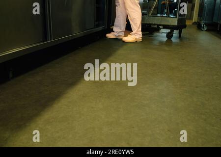 In the school canteen's bustling kitchen, a man dons a special suit and crisp white shoes as he works diligently Stock Photo