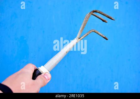 Small green garden rake in hand on a blue background Stock Photo