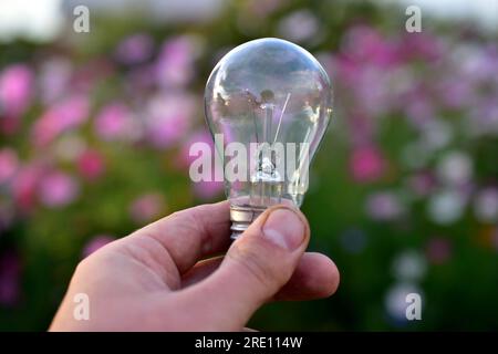 Incandescent lamp in hand on the background of flowers in the garden Stock Photo
