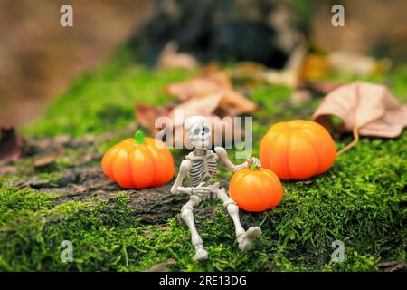 Skeleton figurine sits on green moss, orange pumpkins and dry leaves in woodland. Cute Halloween decorative funny figures on fallen tree in autumn for Stock Photo