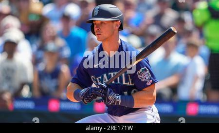 Minnesota Twins catcher Christian Vazquez looks on in between batters  against the Seattle Mariners during a baseball game, Tuesday, July 18,  2023, in Seattle. (AP Photo/Lindsey Wasson Stock Photo - Alamy