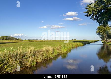 Dutch polder landscape with canal Stock Photo