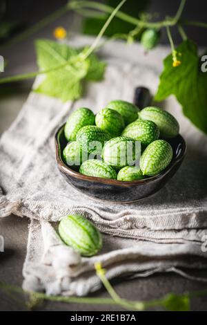 Cucamelon plant hi-res stock photography and images - Alamy