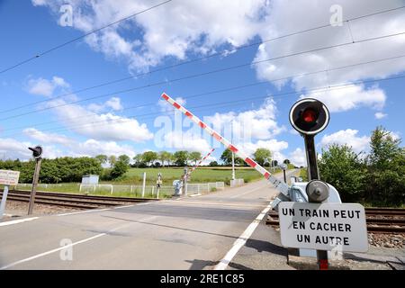 Level crossing on a country road with automatic railway gate. Automatic gates closing, gates lowered and red light flashing before a train passes thro Stock Photo