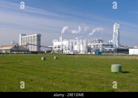 The Tereos plant, mainly dedicated to the production of bioethanol, in Lillebonne (northern France). Stock Photo