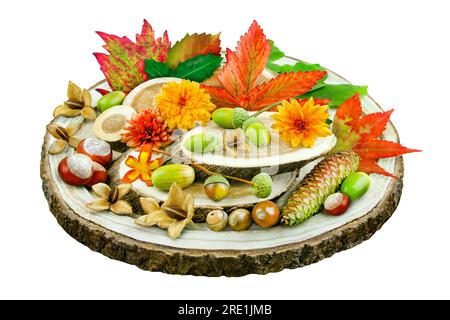 Autumn and natural decoration with chestnuts, leaves and flowers isolated on white background Stock Photo