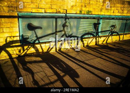 shadows of bicycles on golden sunlit wall Stock Photo