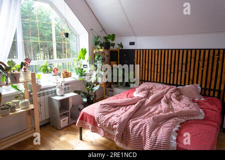 Unmade bed with red striped linen and a mess in Loft style bedroom interior, black wall with wooden slats, metal bed, potted plants on a trapezoidal w Stock Photo