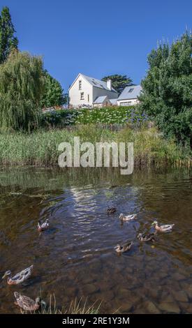 River bank Coal River Tasmania Australia Stock Photo - Alamy