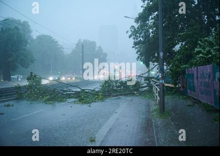 Berlin, Germany. 24th July, 2023. Heavy rain caused a tree to fall across Prenzlauer Allee. Credit: Annette Riedl/dpa/Alamy Live News Stock Photo