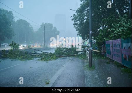 Berlin, Germany. 24th July, 2023. Heavy rain caused a tree to fall across Prenzlauer Allee. Credit: Annette Riedl/dpa/Alamy Live News Stock Photo