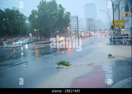 Berlin, Germany. 24th July, 2023. Fallen branches lie on Prenzlauer Allee from heavy rain. Credit: Annette Riedl/dpa/Alamy Live News Stock Photo