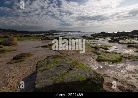 Early evening as the tide comes in at Fistral Beach in Newquay, Cornwall, UK Stock Photo