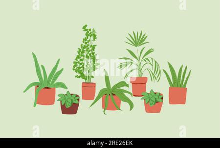 Plant in pot vector illustration set. Cartoon flat different indoor potted decorative houseplants for interior home or office decoration, green garden floral collection icons isolated on white. Vector illustration Stock Vector
