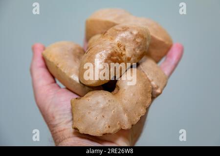 Edible bulb of the plant (Dioscorea bulbifera) originally from Africa and known as 'cará moela' Stock Photo