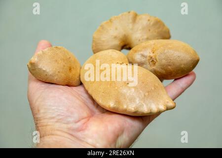 Edible bulb of the plant (Dioscorea bulbifera) originally from Africa and known as 'cará moela' Stock Photo