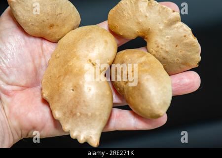 Edible bulb of the plant (Dioscorea bulbifera) originally from Africa and known as 'cará moela' Stock Photo