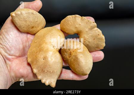 Edible bulb of the plant (Dioscorea bulbifera) originally from Africa and known as 'cará moela' Stock Photo