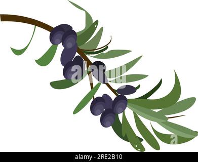 olive branch illustration Stock Vector Image & Art - Alamy