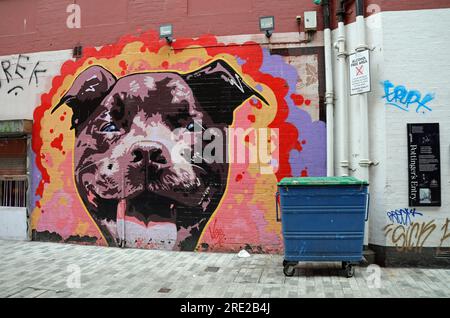 Painting of a dogs head by Tim McCarthy at Pottingers Entry in the city centre of Belfast Stock Photo