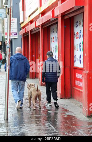 Men with American Pit Bull in the city centre of Belfast Stock Photo