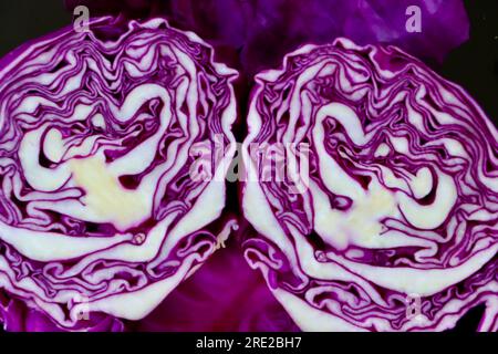 Red cabbage, Brassica oleracea cut in two Stock Photo